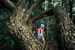 BIB: 
                            <button type="button" onclick="openModal(25394156)" class="btn btn-primary btn-sm float-right btn-popup" data-toggle="modal" data-target=".modal-high-quality">
                        <i class="fas fa-shopping-cart"></i> Add to Cart
                    </button>
                                            <button type="button" onclick="isThisMe(25394156, true)" class="btn btn-success btn-sm float-right btn-popup btn-isme hidden" data-toggle="tooltip" data-placement="bottom" title="นี่คือรูปของคุณใช่ไหม คลิกที่นี่เพื่อเอาเข้าอัลบั้ม">
                        <i class="fas fa-plus"></i> Add to album
                    </button>
                    <button type="button" onclick="isThisMe(25394156, false)" class="btn btn-warning btn-sm float-right btn-popup btn-isnotme hidden">
                        <i class="fas fa-ban"></i> Remove from album
                    </button>